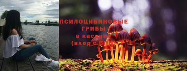 jwh Абаза