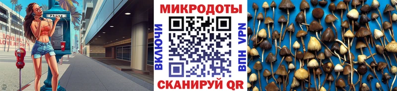 Галлюциногенные грибы MAGIC MUSHROOMS  как найти наркотики  Тутаев 